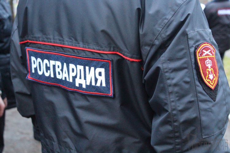 В Пензе сотрудники Росгвардии задержали гражданина, который умышленно повредил автомобиль 