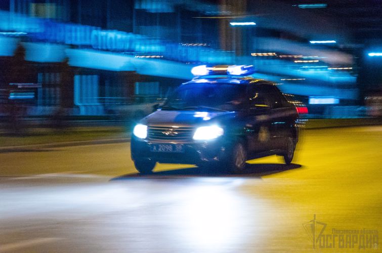 Росгвардейцы задержали и передали инспекторам ГИБДД пьяного водителя