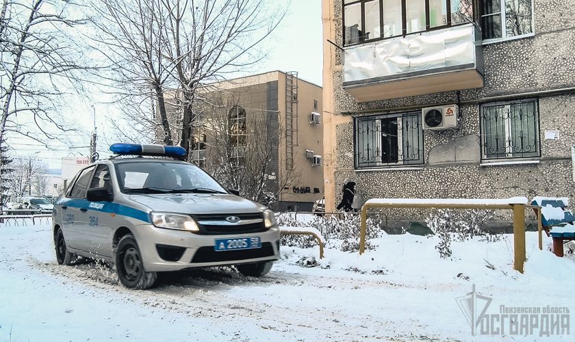 Мужчина, подозреваемый в нанесении телесных повреждений гражданину, задержан росгвардейцами 