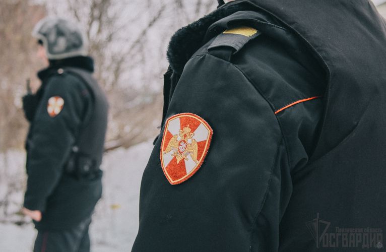 В Каменке росгвардейцы задержали женщину, подозреваемую в совершении кражи 