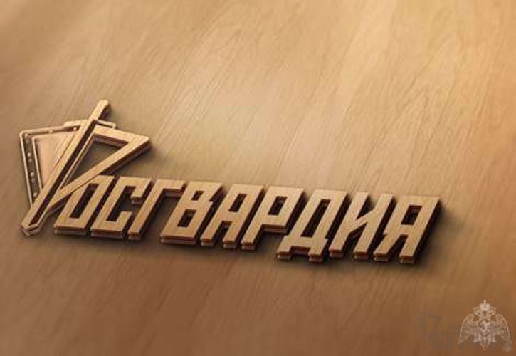 В центре лицензионно-разрешительной работы управления Росгвардии по Пензенской области подвели итоги работы за 6 месяцев 2020 года