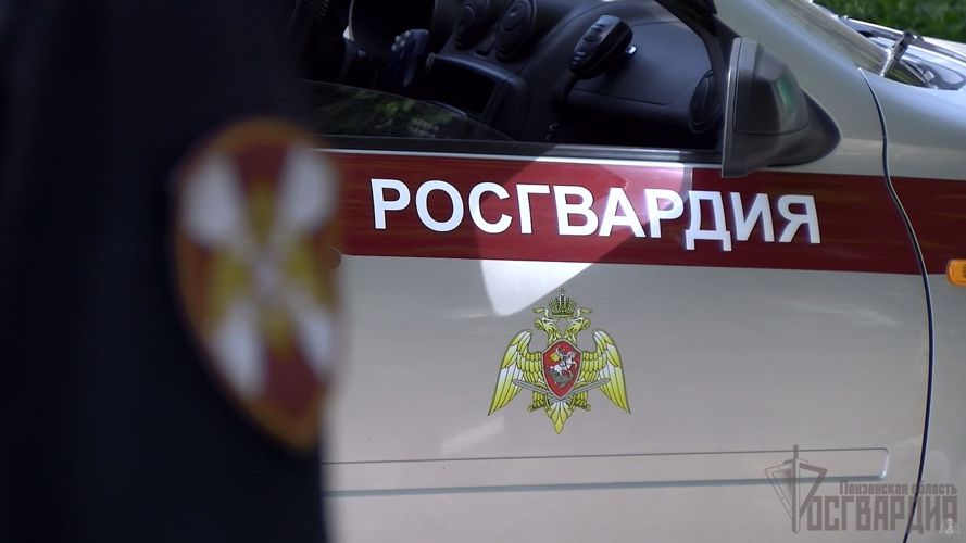 Пензенские росгвардейцы задержали агрессивного гражданина 