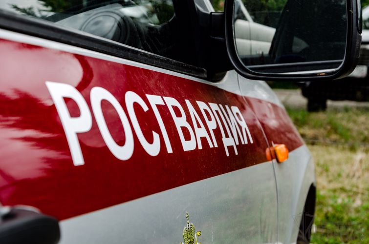 В Пензенской области благодаря слаженным действиям росгвардейцев и сотрудников МЧС удалось оперативно локализовать очаг возгорания