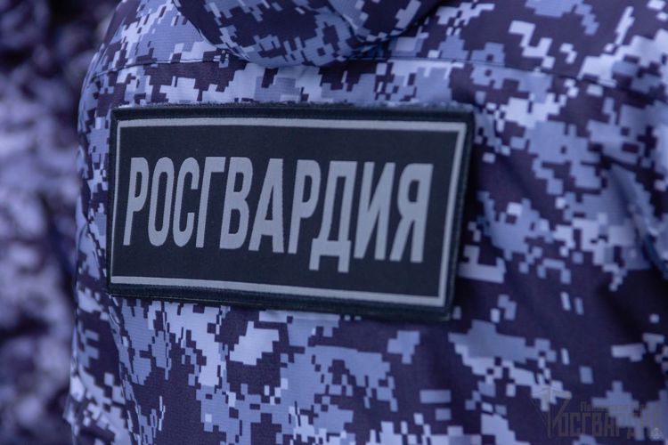 Росгвардейцы задержали мужчину, подозреваемого в совершении противоправных действий 