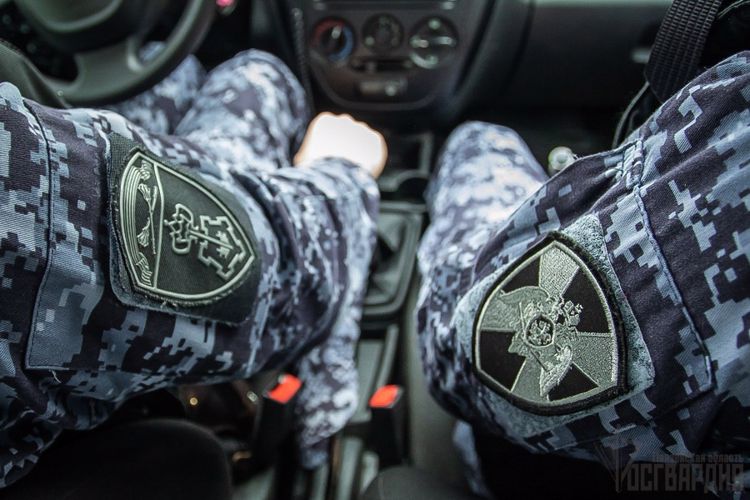 Мужчина, устроивший утреннюю прогулку с алюминиевой лестницей неизвестного происхождения, был задержан пензенскими росгвардейцами
