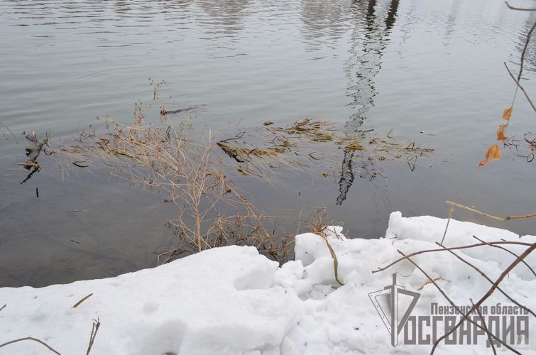 В Пензе сотрудники полиции совместно с экипажем Росгвардии спасли женщину, тонувшую в ледяной реке (видео)