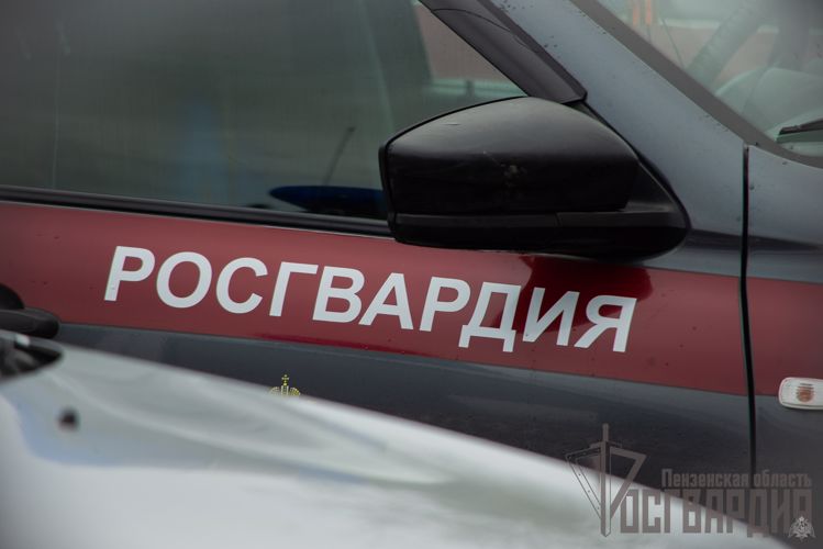 В Пензе Росгвардейцы задержали дебоширов, которые повредили имущество магазина во время потасовки