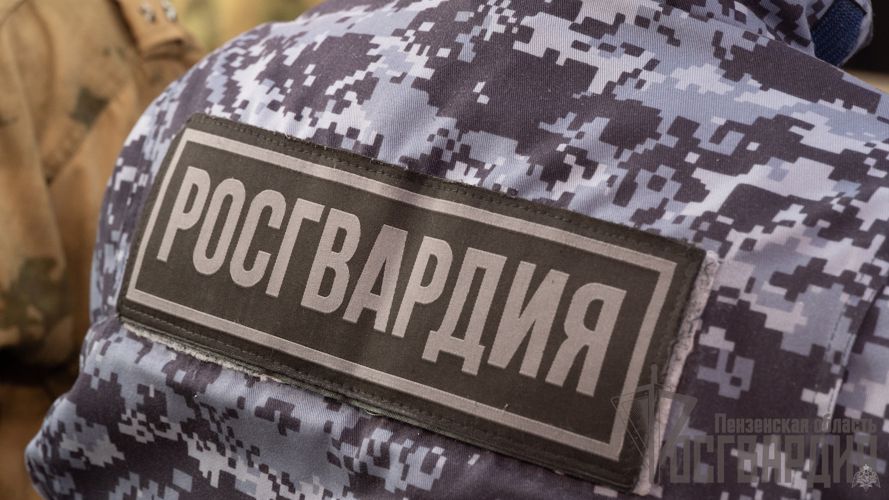 В Пензе инспектор ГИБДД провел с росгвардейцами семинар по профилактике аварийности в зимний период