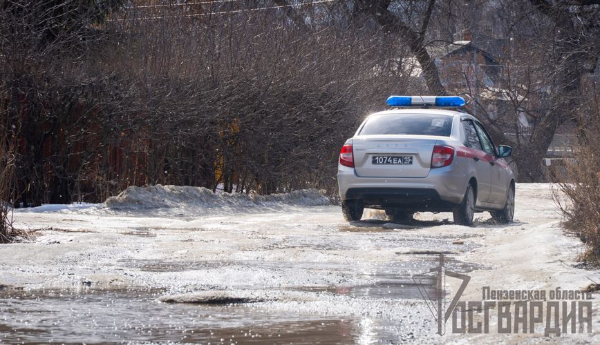 ТЕЛЕСЮЖЕТ ГТРК "ПЕНЗА":Во время паводка в регионе организовано дежурство росгвардейцев(Видео)
