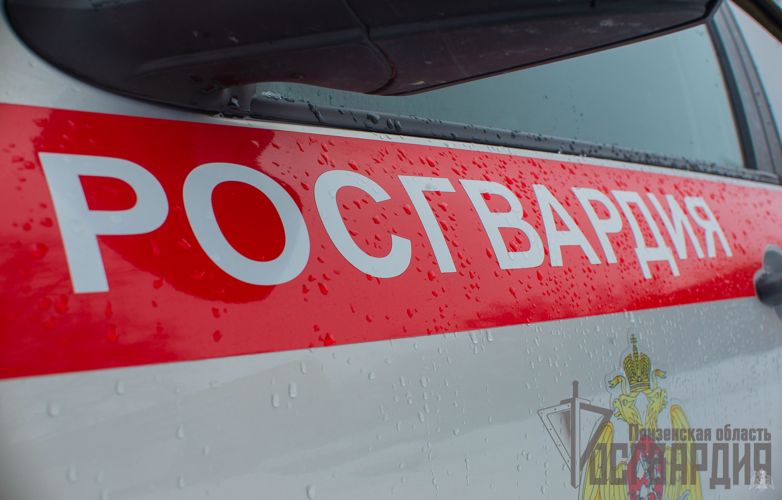 В Пензенской области росгвардейцами был задержан гражданин, подозреваемый в краже алкогольной продукции