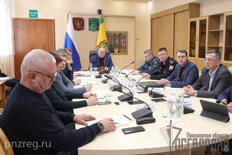 Представители Управления Росгвардии по Пензенской области приняли участие в заседании региональной комиссии по предупреждению и ликвидации ЧС