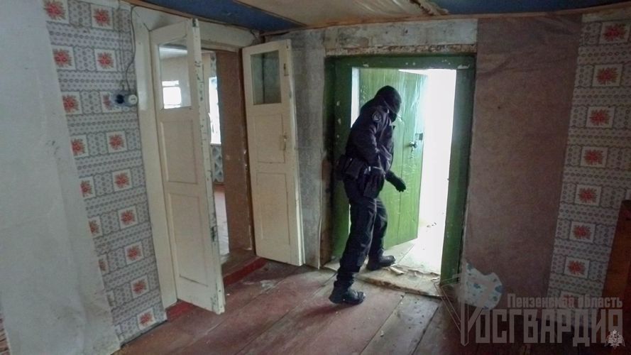 В Пензенской области при участии бойцов Росгвардии прошел массовый рейд