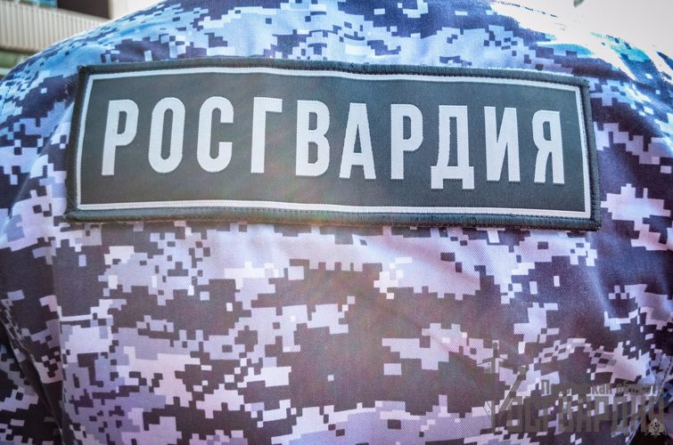Пензенец, совершивший противоправные действия, был задержан росгвардейцами
