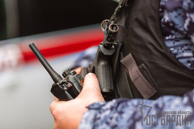 В Пензенской области наряд Росгвардии обнаружил разыскиваемый автомобиль