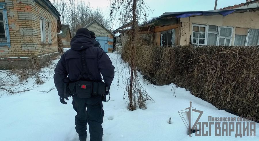 В Пензенской области при участии бойцов Росгвардии прошел массовый рейд