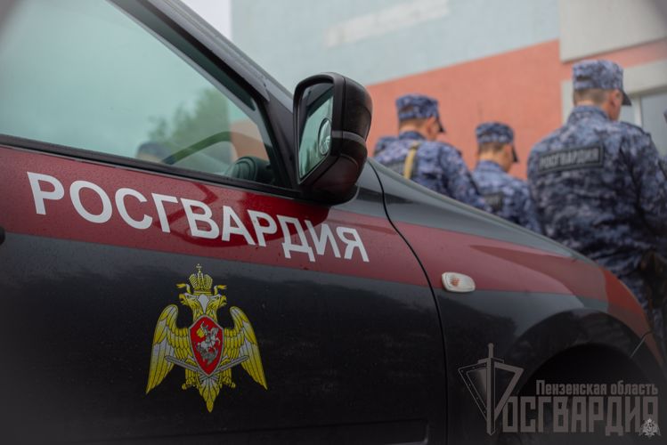 В Пензе сотрудниками Росгвардии задержан гражданин, подозреваемый в совершении хищении товара из магазина