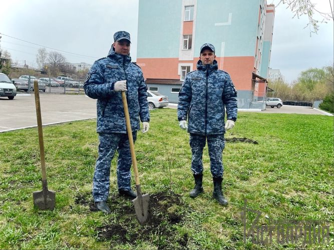 Сотрудники пензенской вневедомственной охраны поддержали всероссийскую акцию «Сад памяти»