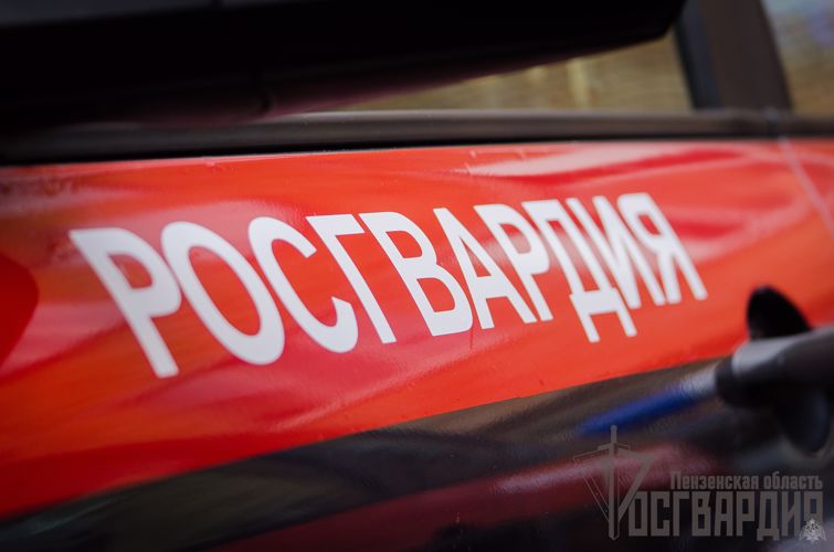 В Пензенской области при участии Росгвардии прошел «Сельский патруль»