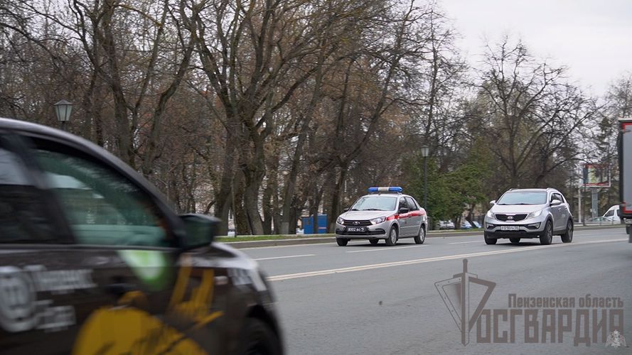 В Пензе сотрудники Росгвардии задержали мужчину, совершившего кражу