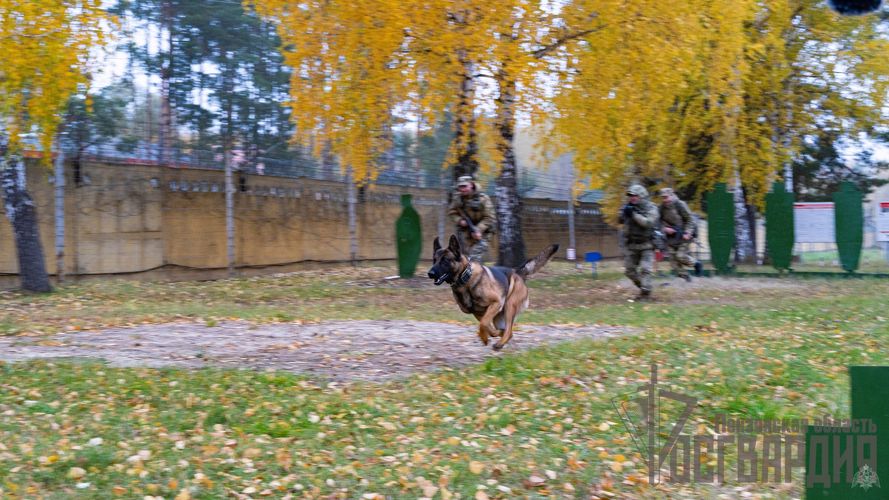 24 мая воинская часть Росгвардии, которая базируется в городе Заречный Пензенской области, отмечает 65-летие со дня образования