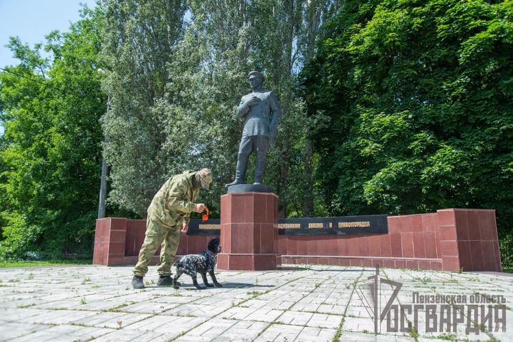 В Пензе журналистам региональных телеканалов рассказали о работе кинологов Росгвардии