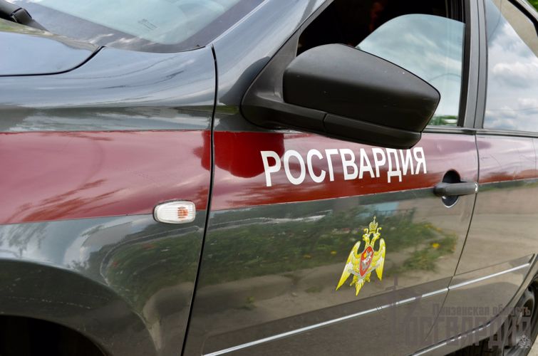 В Пензе сотрудники Росгвардии задержали подозреваемого в причинении материального ущерба развлекательному заведению