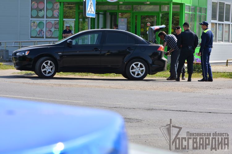 На территории Пензенской области при участии бойцов Росгвардии проведено межведомственное профилактическое мероприятие «Сельский патруль»