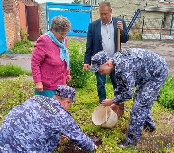 В Пензенской области сотрудники Росгвардии поддержали патриотическую акцию «Ель Победы»