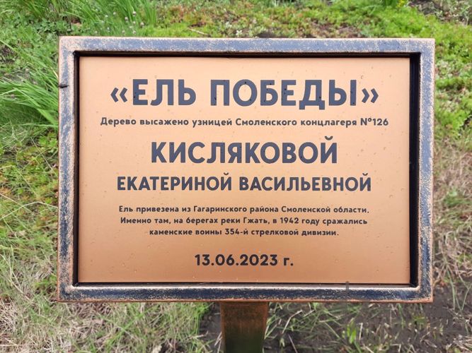  В Пензенской области сотрудники Росгвардии поддержали патриотическую акцию «Ель Победы»