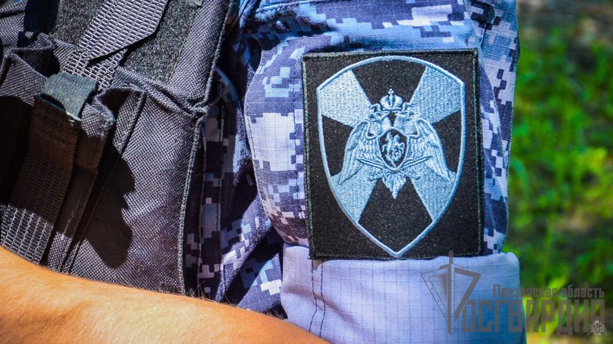 Росгвардейцы задержали 75-летнего пензенца, избившего свою супругу