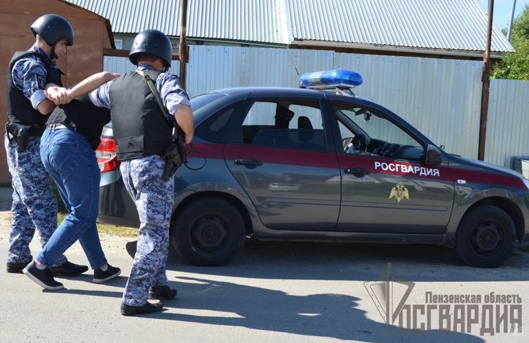 Пензенец, подозреваемый в нарушении общественного порядка был задержан бойцами Росгвардии