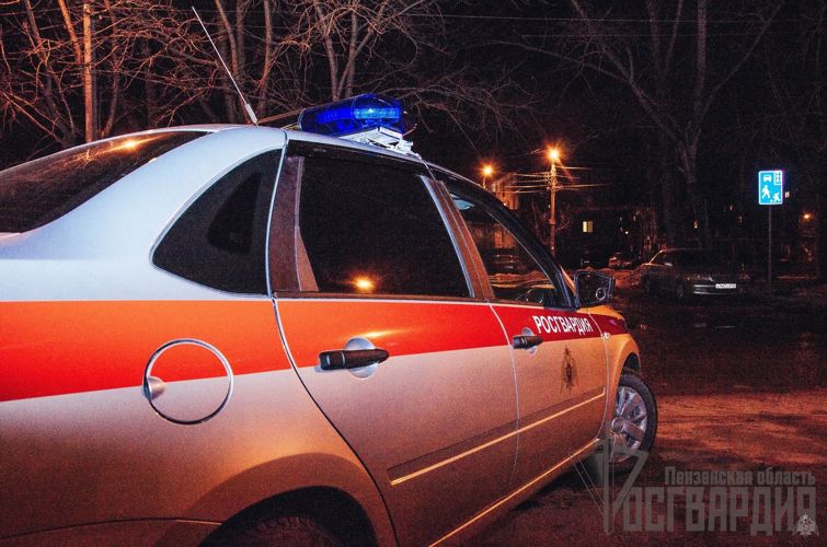В Пензе сотрудники Росгвардии задержали правонарушителя, избившего посетителя кафе