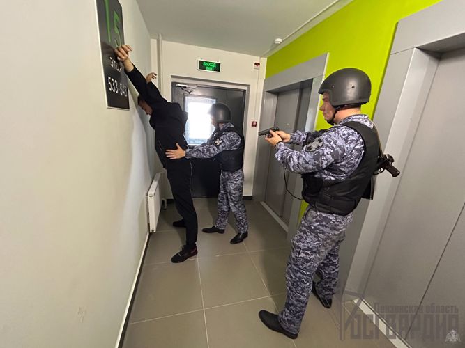 Пензенец, избивший свою падчерицу, был задержан сотрудниками Росгвардии