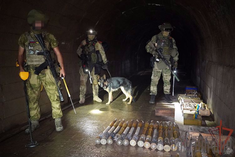 Росгвардейцы обнаружили в ДНР склад боеприпасов американского и  европейского производства (видео)