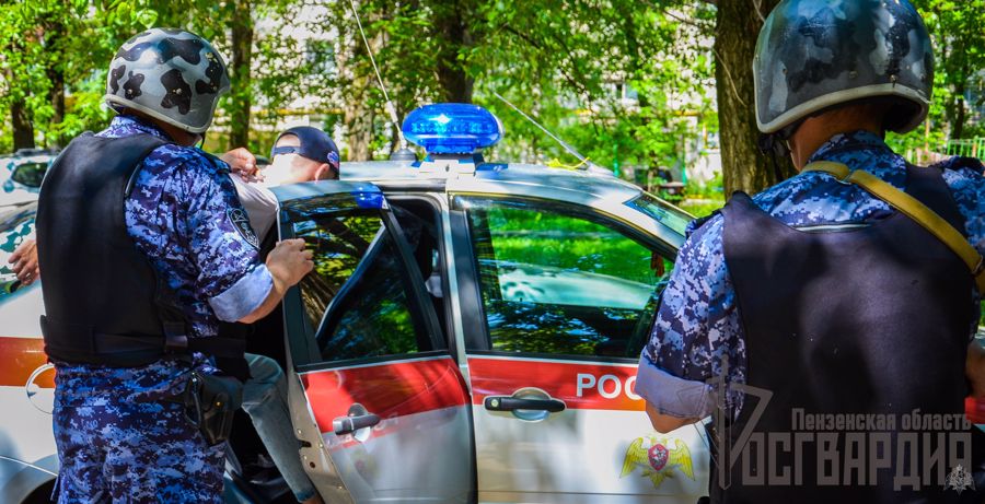 Мужчина, нанесший материальный ущерб охраняемому объекту в Пензе, был задержан росгвардейцами