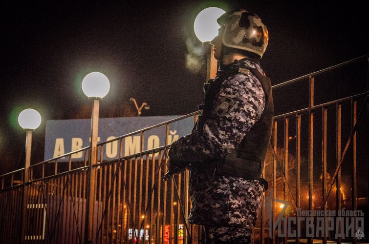 В Пензе росгвардейцы задержали подозреваемых в краже фонарных столбов