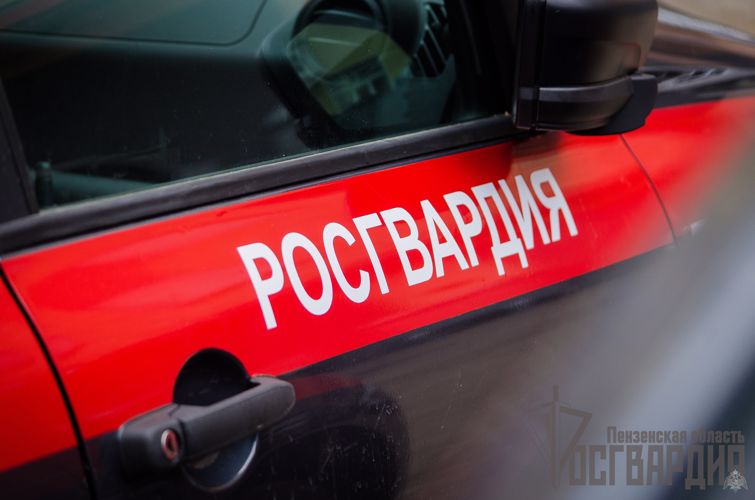 Росгвардейцы задержали агрессивного посетителя бара в Пензе