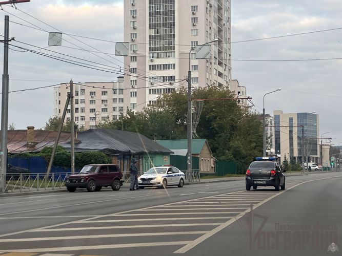 В Пензе росгвардейцы пресекли опасное вождение нетрезвой автомобилистки