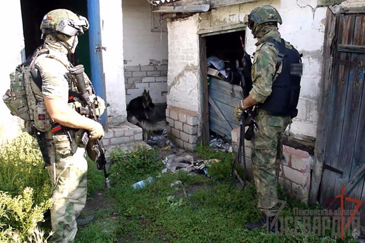 ОРУЖИЕ И БОЕПРИПАСЫ ИЗЪЯЛИ ИЗ ТАЙНИКОВ И СХРОНОВ РОСГВАРДЕЙЦЫ В ЛНР (ВИДЕО)
