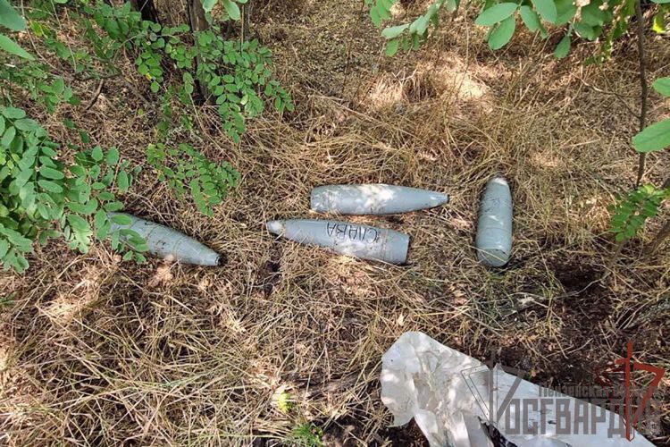 РОСГВАРДЕЙЦЫ НАШЛИ СХРОН С АРТИЛЛЕРИЙСКИМИ И ТАНКОВЫМИ СНАРЯДАМИ В ДНР (ВИДЕО)