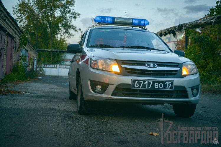 В Пензе совместно с полицией сотрудники Росгвардии по горячим следам задержали гражданина, подозреваемого в совершении кражи