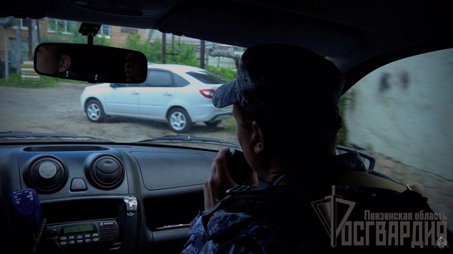 Росгвардейцы задержали жительницу Пензы, подозреваемую в повреждении чужих автомашин