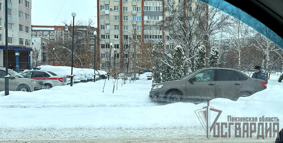 В Пензе патруль Росгвардии помог девушке вытянуть застрявший в снегу автомобиль