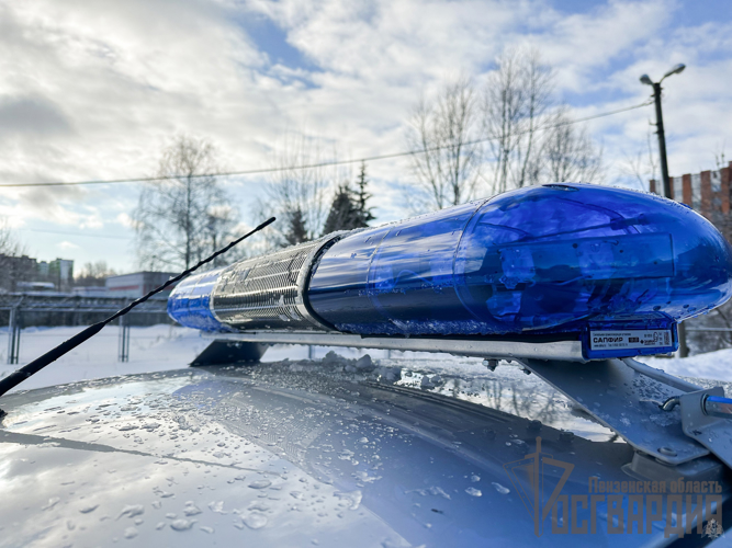В Пензе росгвардейцам вручили ключи от новых служебных автомобилей