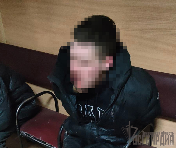 В Пензе сотрудники Росгвардии задержали хулигана, который повредил припаркованные автомобили