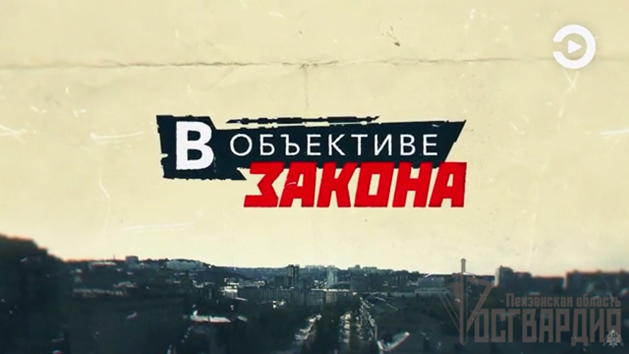 Новый выпуск программы: В объективе закона - Программа №279