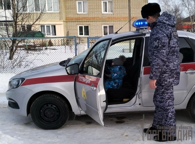 В Пензенской области росгвардейцы продолжают проводить патриотические мероприятия в рамках акции "Дни Росгвардии"
