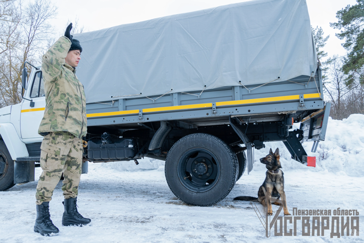 В Пензе прошли сборы кинологических служб правоохранительных ведомств 