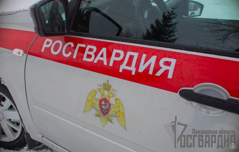 В Пензенской области сотрудники Росгвардии за неделю осуществили  220 выездов
