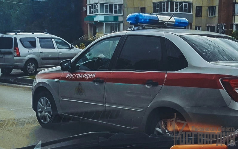 Бойцами вневедомственной охраны Росгвардии в Пензе пресечена драка